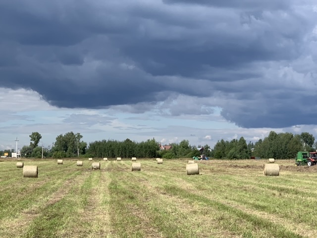 Haymaking - My, Haymaking, Summer, Longpost