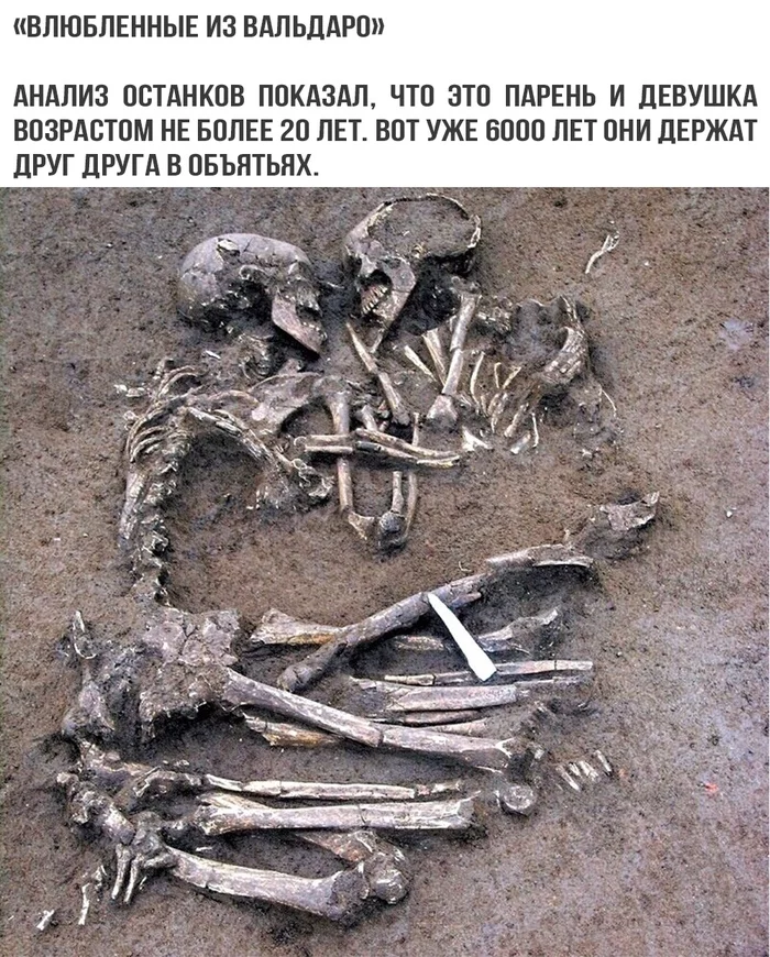 An amazing archeological find... - Archeology, Remains, Skeleton, Love, Interesting, Italy