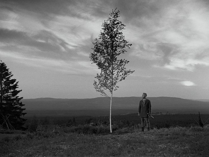 Кино — такое кино Фильмы, Сайт КиноПоиск, Советское кино, Кадр, 20 век, Старые фильмы, Фотография, Актеры и актрисы, Длиннопост