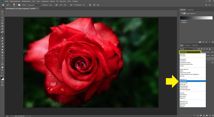 Как сделать тонировку в фотошопе на машину. Смотреть фото Как сделать тонировку в фотошопе на машину. Смотреть картинку Как сделать тонировку в фотошопе на машину. Картинка про Как сделать тонировку в фотошопе на машину. Фото Как сделать тонировку в фотошопе на машину