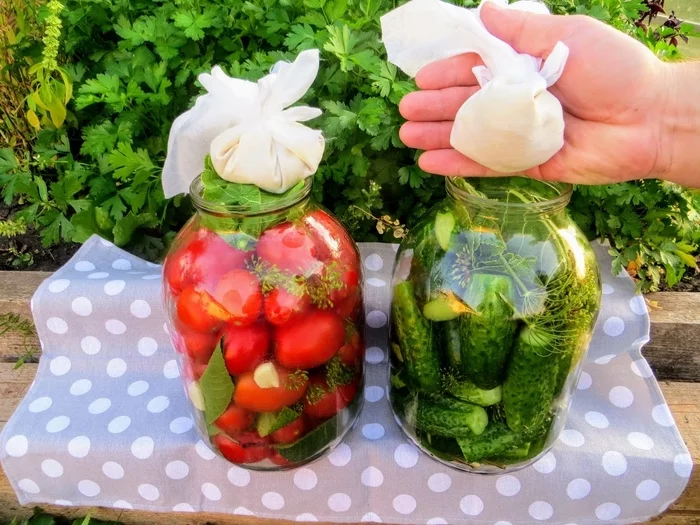 Cold-processed tomatoes and cucumbers - My, Cooking, For the winter, Recipe, Salted cucumbers, Blanks, Other cuisine, Longpost