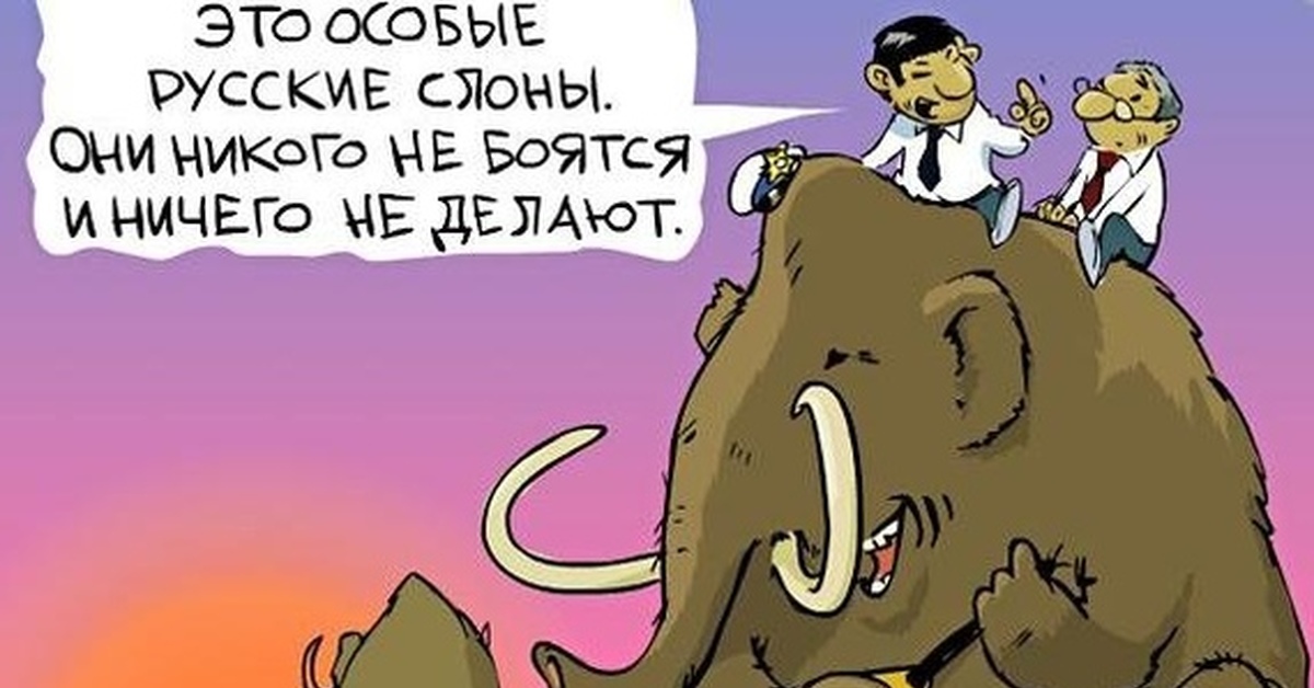 Наш слон. Шутка про слона. Карикатуры про слонов. Анекдот про слона. Прикольный мамонт.