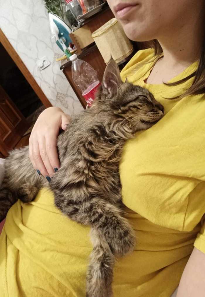         , , --,  ,   ,  , ,   , 