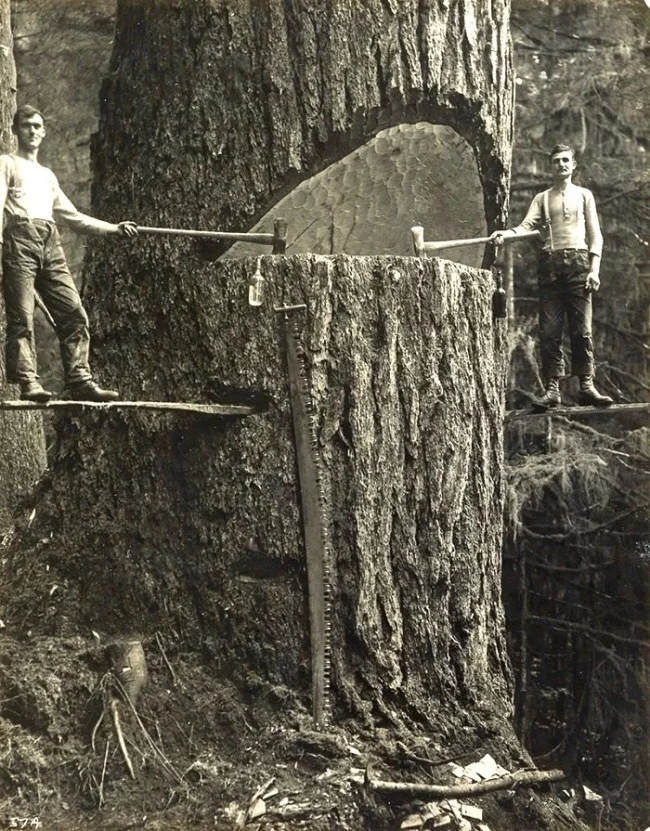 Взгляни в прошлое через объектив. 10 исторических фотографий История, Фотография, Длиннопост, Историческое фото