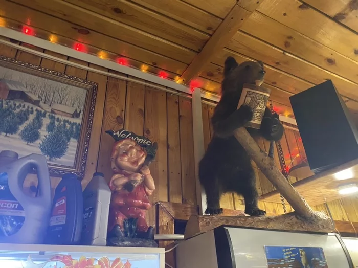 Беларусь - Магадан на велосипеде. 9.700 из 11.000 км. Часть 5 Республика Беларусь, Магадан, Велосипед, Путешествия, Якутск, Лена, Колыма, Длиннопост