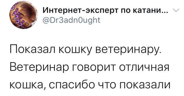 Ветеринар - Ветеринар, Кот, Twitter