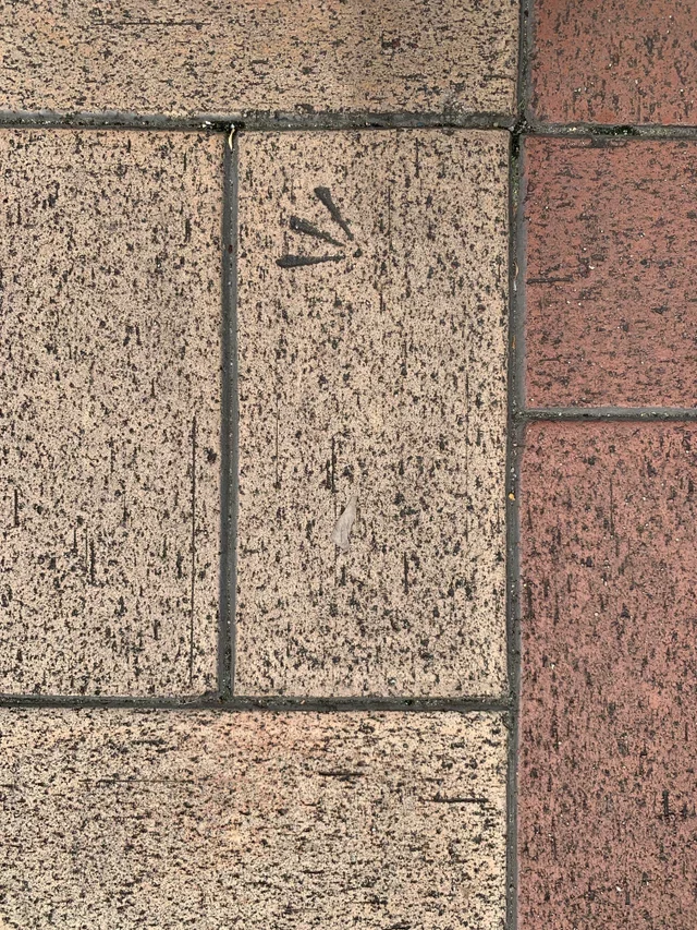 Что это за штука - 103 Reddit, WhatIsThisThing, Перевел сам, Видео, Длиннопост Что это за штука - 103 Reddit, WhatIsThisThing, Перевел сам, Видео, Длиннопост