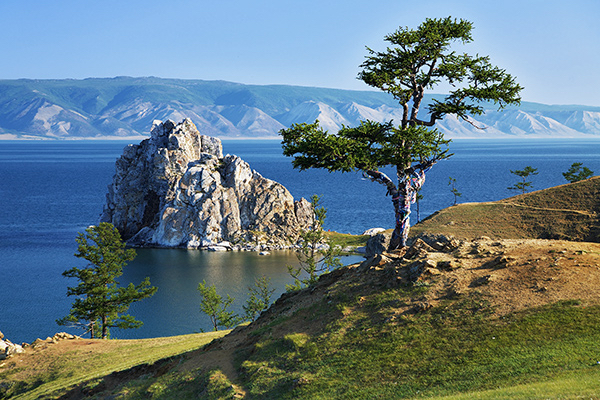 We are losing Baikal! We are against the law on clear cutting of forests for the sake of BAM - My, Baikal, Ecology, Forest, Петиция