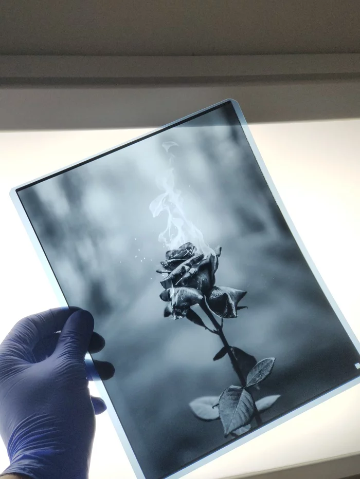 Фотография на рентгеновскую пленку
