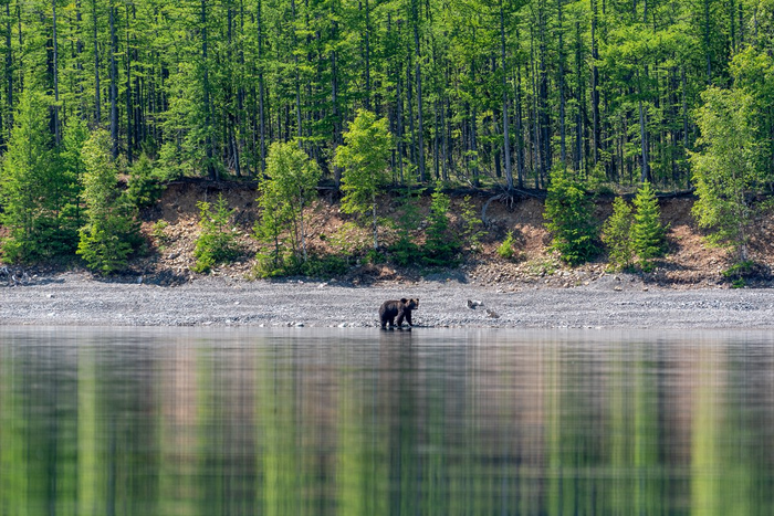 Какая красота!