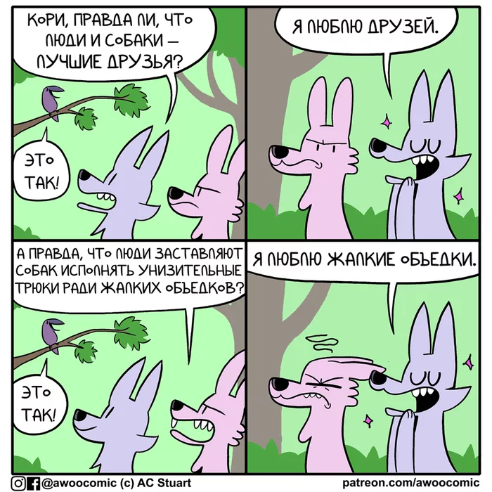 This is true - Awoocomic, Ac stuart, Comics, Translation