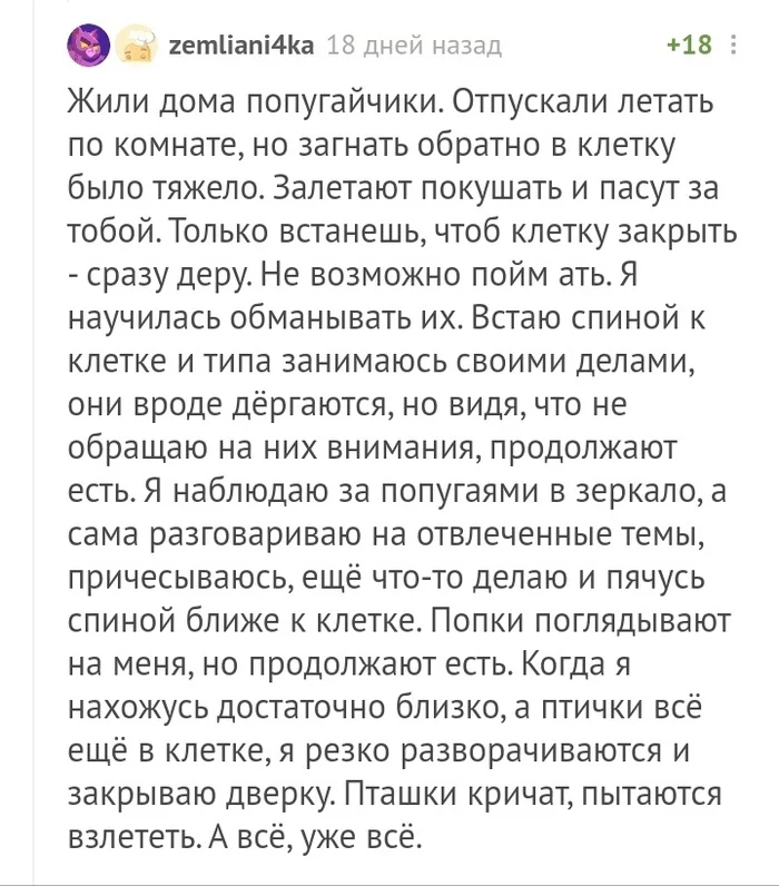 Потому что я тут главный решала! - Комментарии на Пикабу, Попугай, Длиннопост, Скриншот, Мат