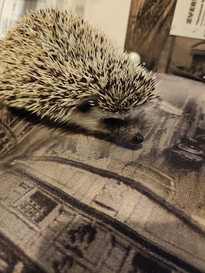 ���� �������������� | ����� 5