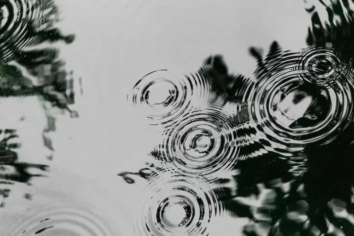 Leaves in water reflections - My, Sony, A6000, Sony a6000, The photo, Water, Reflection, Serenity