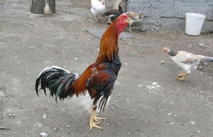 Решился сделать шаг в неизвестность!