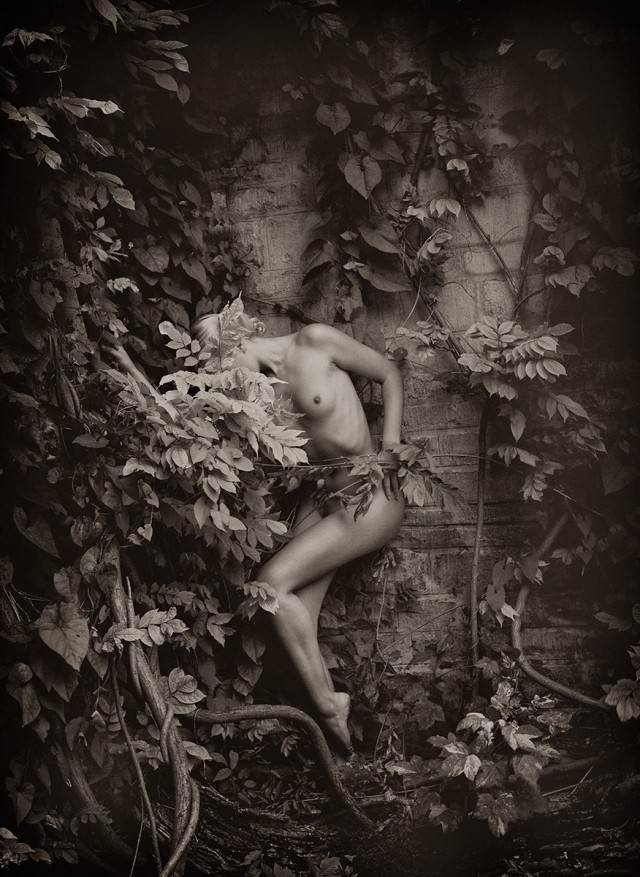 Nudes by Trevor and Faye Yerbury - NSFW, Erotic, The photo, Art, Girls, Black and white photo, Longpost