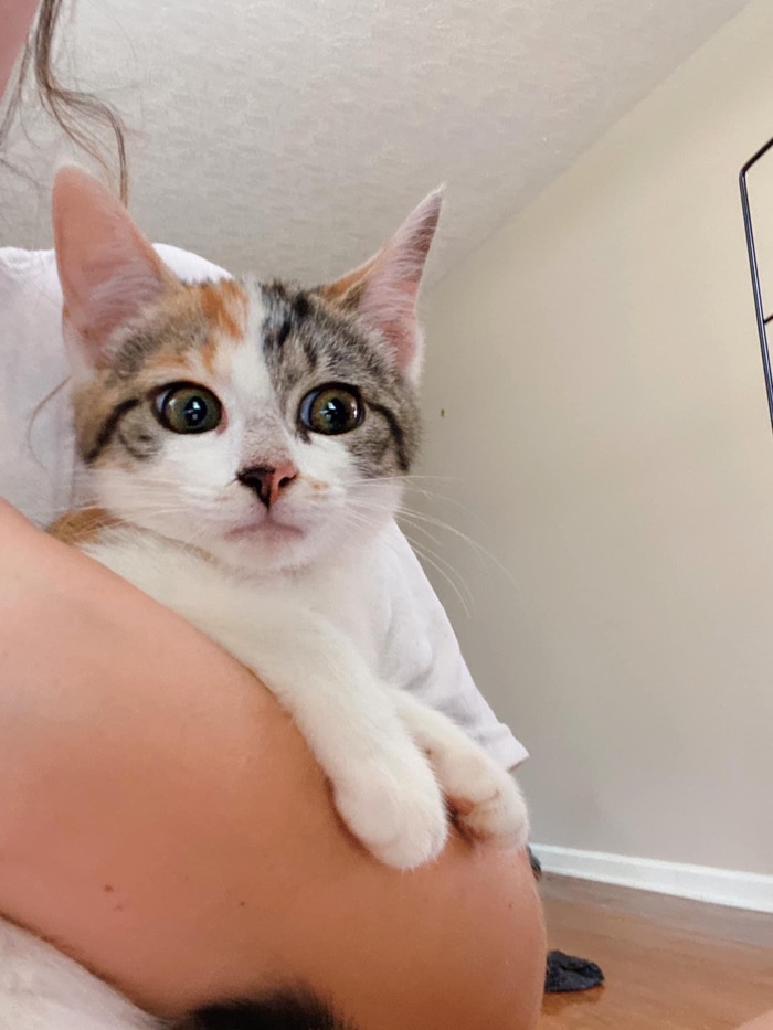 Вспомнил что-то