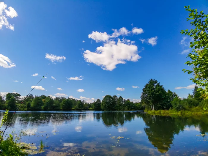 Landscape - My, The photo, Nature, Landscape, Mushrooms, Dzerzhinsk, Canon 800D, Video, Longpost