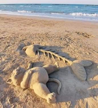 Bliss - cat, Beach, Sand sculpture, Images, Bliss, Sand, Sea