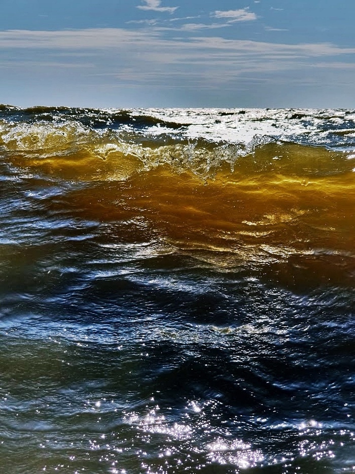 Янтарные волны Балтийского моря