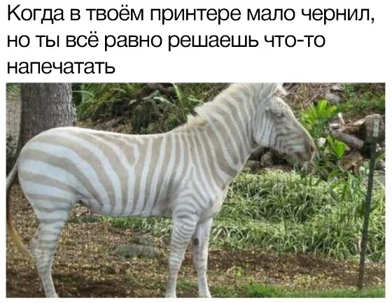 Well, what if - a printer, zebra, Memes, Picture with text