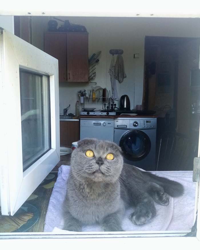  , , , 
