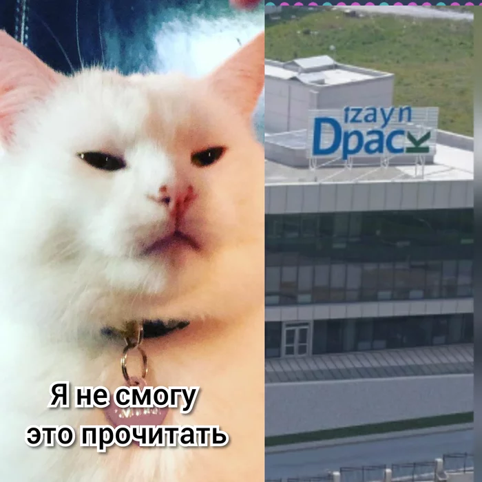 Signboard of one of the Moscow digging companies - My, cat, Two women yell at the cat, Design, Signboard