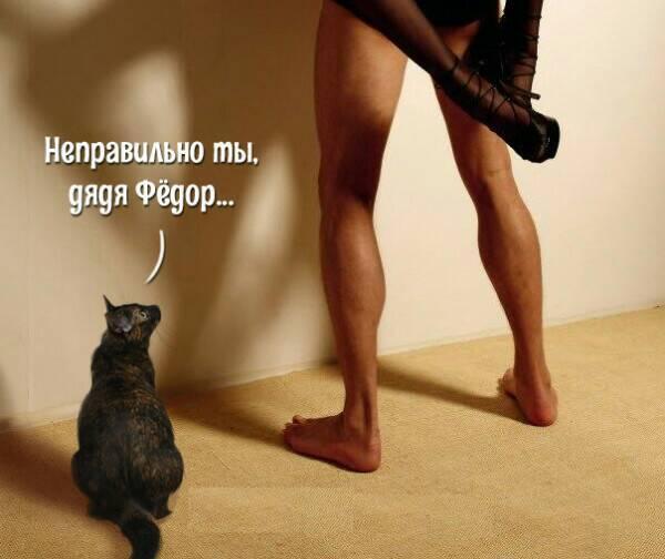 You are wrong, Uncle Fyodor... You hold the sausage upside down, but you should put the sausage on your tongue - Picture with text, cat, Uncle Fedor, Advice, Humor, Subtext, Men and women