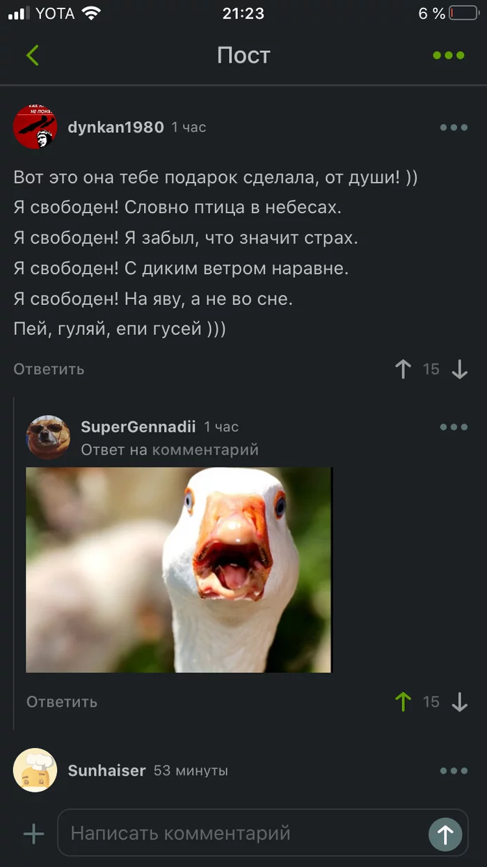 Poor goose - Гусь, Mat, Screenshot