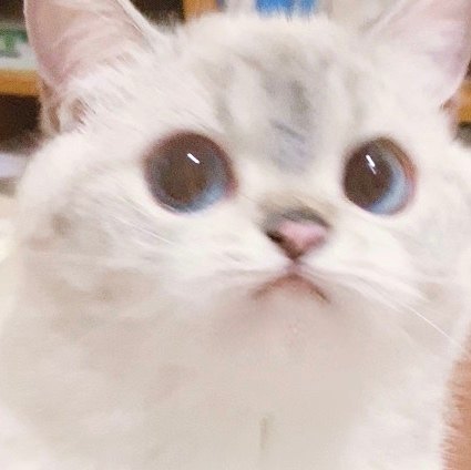    ? , ,  ,    , ,  