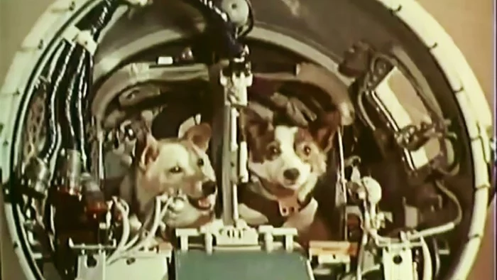 Belka and Strelka - Belka and Strelka, Space, Dog, Dogs and people, the USSR, Anniversary