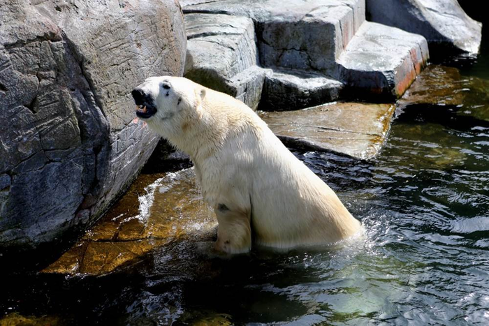     ) ,  ,  , , , , The National Geographic, ,  