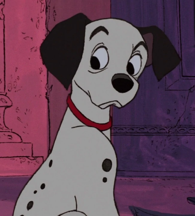 The story of a new friend - My, Dalmatian, Dog, Sport, Tourism, Travels, friendship, 101 dalmatians, Longpost, Life stories