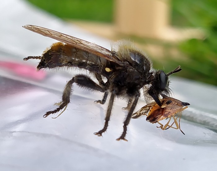 ����������, ��� �� ���������?