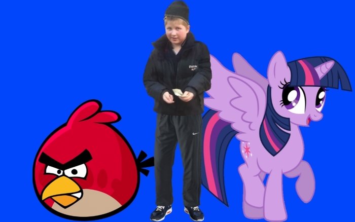 Angry Birds, MLP  RYTP Angry Birds, My Little Pony, RYTP, 