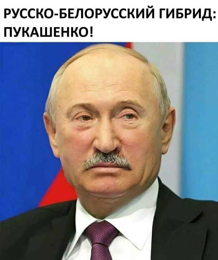 That's such a sad humor - Politics, Mat, Republic of Belarus, Rally, Slogan, 