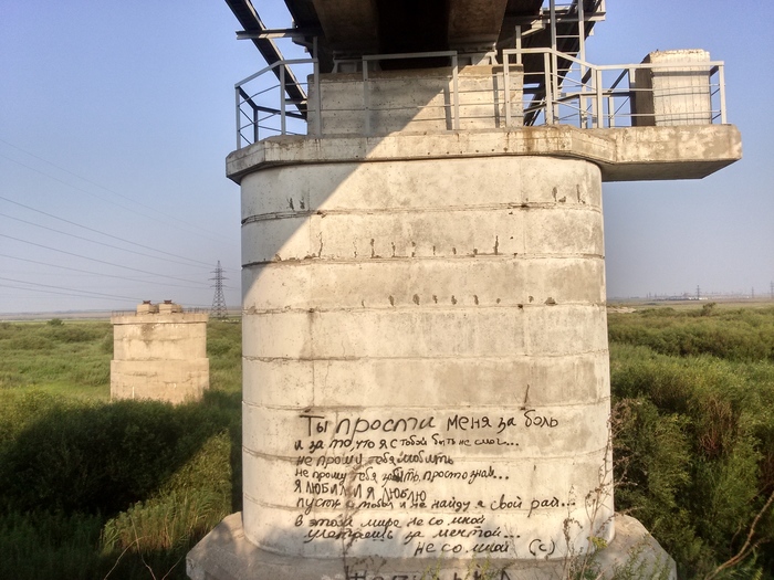 Суровый поэт