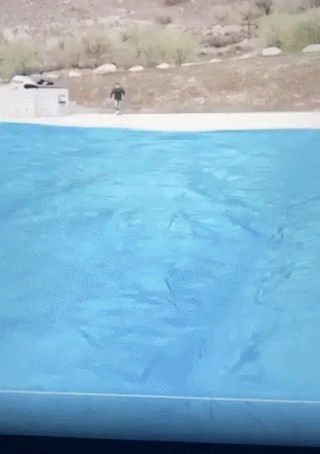     ,    