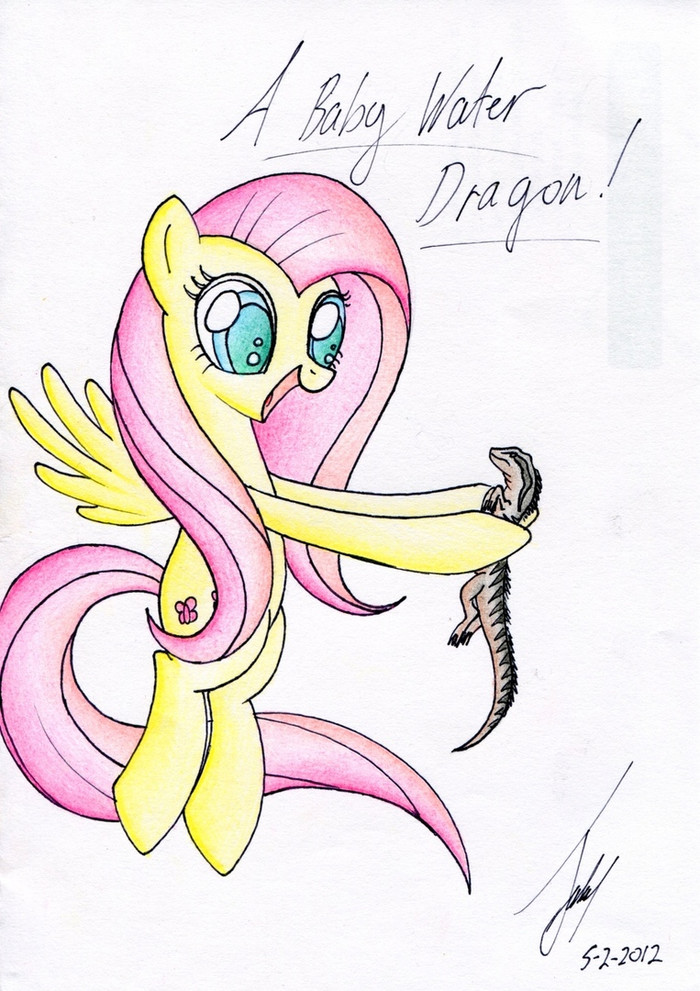 Water dragon My Little Pony, Fluttershy, 