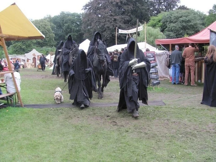 When you are the great sorcerer-king of Angmar, the winged shadow of the Mediterranean, lord of the Nazgul and terror of the night... - Lord of the Rings, Nazgul, Dog, Humor, The photo