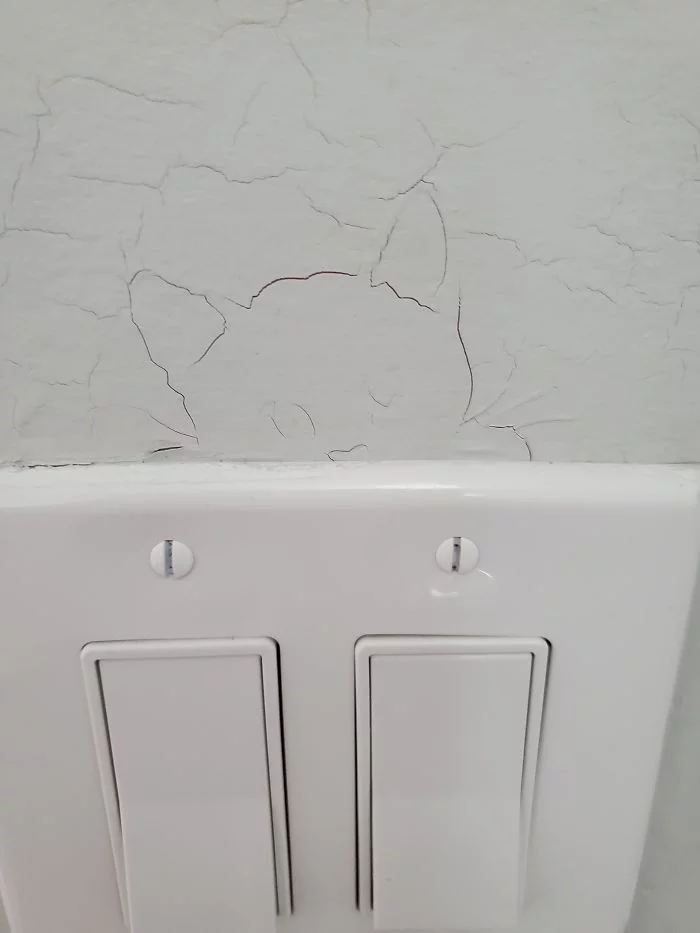 When you see cats everywhere and in everything - cat, Pareidolia, It seemed, Longpost