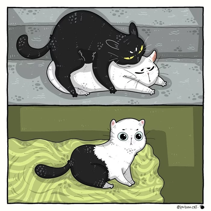 Которебенок - Кот, Рисунок, Tactooncat