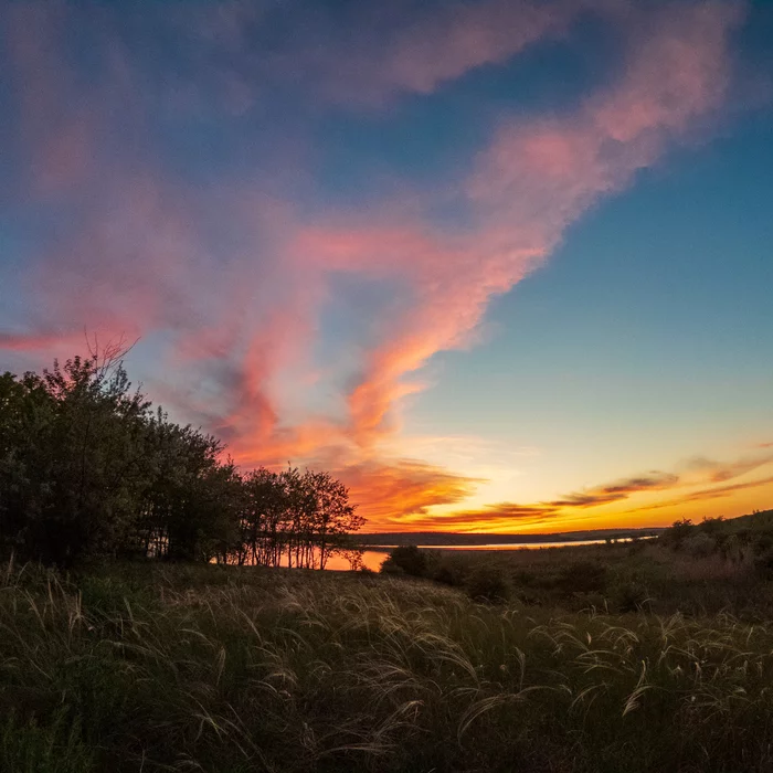 Dream-grass at sunset - My, Sunset, Gopro 7, GoPRO, Raw, Lightroom, Feather grass, Field, The photo