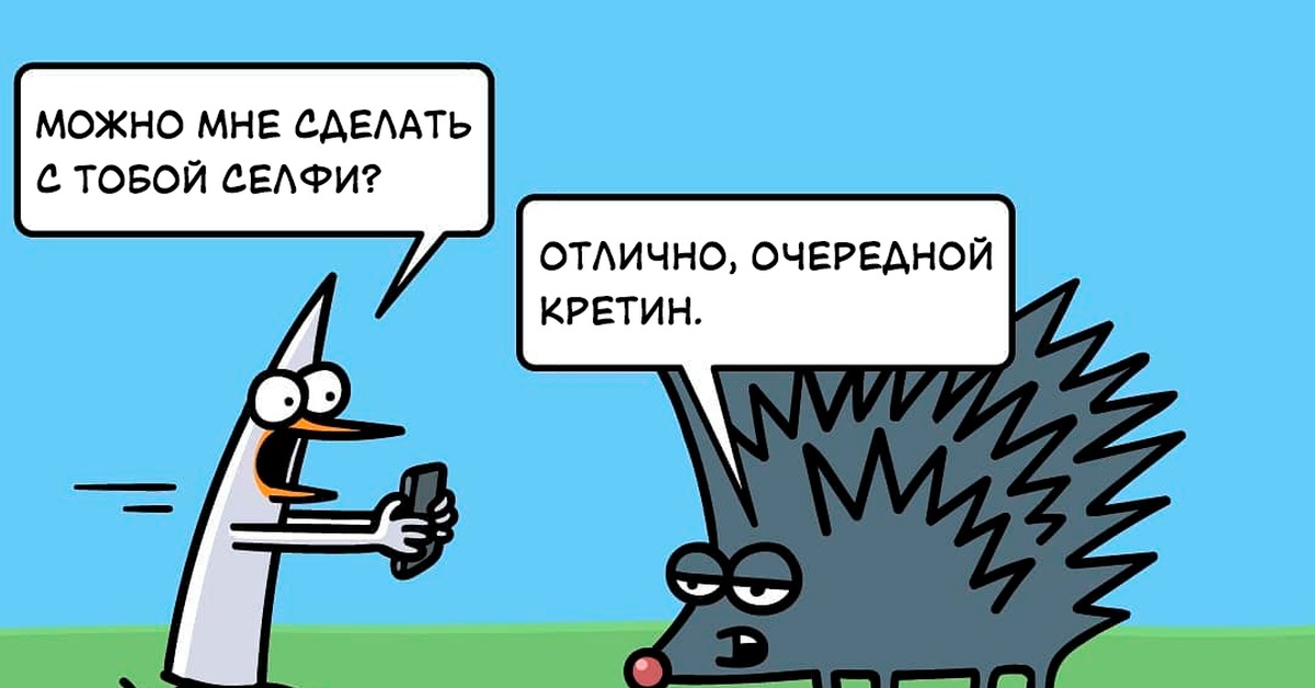напугал ежа бритой. напугал ежа пословица. лизать ежа. попка ежика. ёжик в тумане демотиваторы.