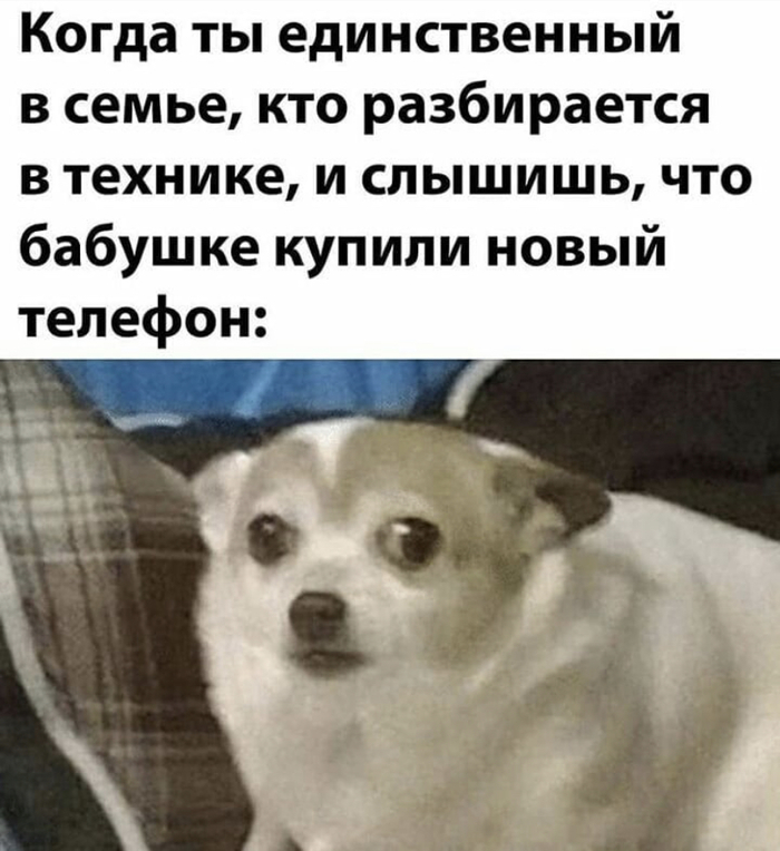 Что означает женщина с низкой социальной ответственностью. Смотреть фото Что означает женщина с низкой социальной ответственностью. Смотреть картинку Что означает женщина с низкой социальной ответственностью. Картинка про Что означает женщина с низкой социальной ответственностью. Фото Что означает женщина с низкой социальной ответственностью