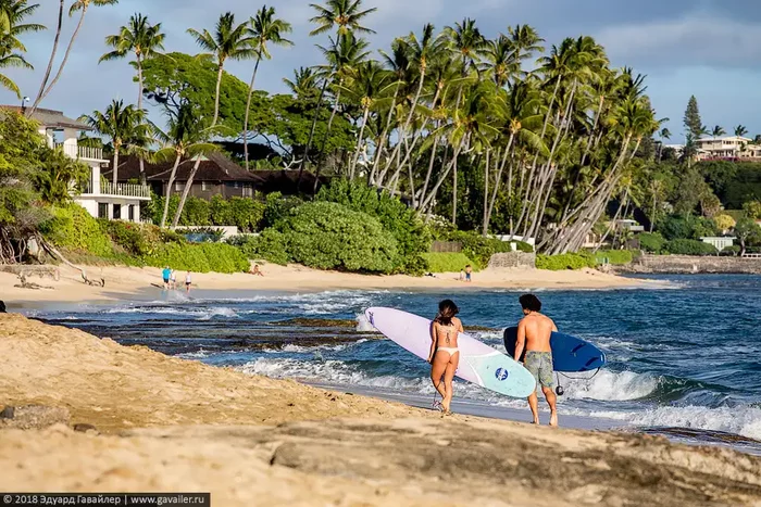 Walking around Honolulu - Hawaii, Honolulu, USA, Travels, Interesting, The photo, beauty, Longpost