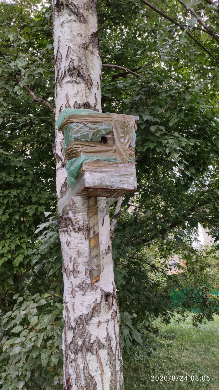 � - ���������