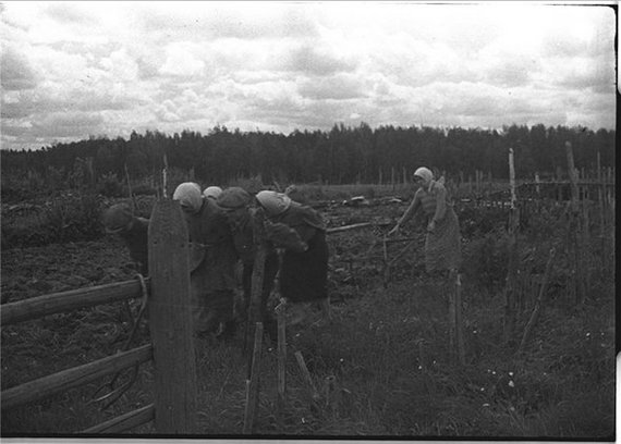 People at war. And iron. Just a photo - The Great Patriotic War, Military history, Longpost, Military equipment, Old photo