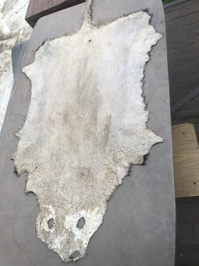 ���������� ��� �������