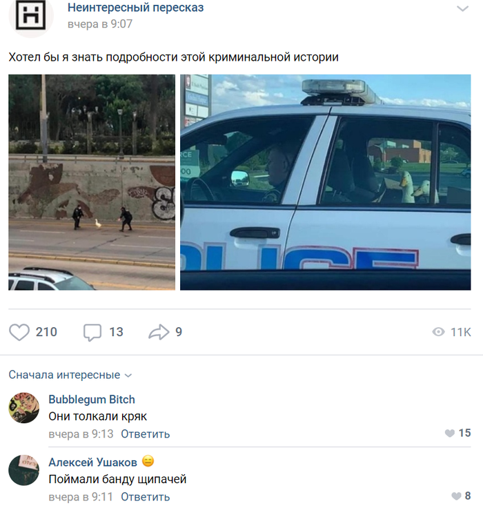 ��� ������� ����